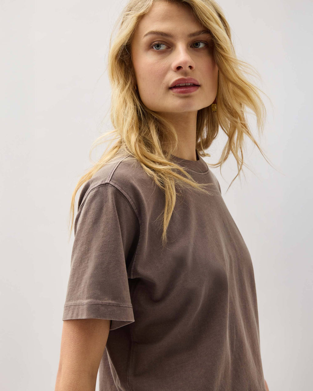 Womens Relaxed Crop Tee - Pigment Dye Jersey - Mole