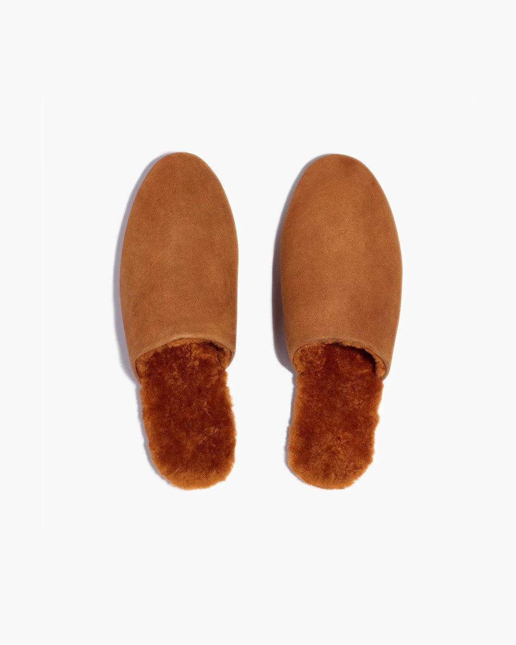 Ines Shearling